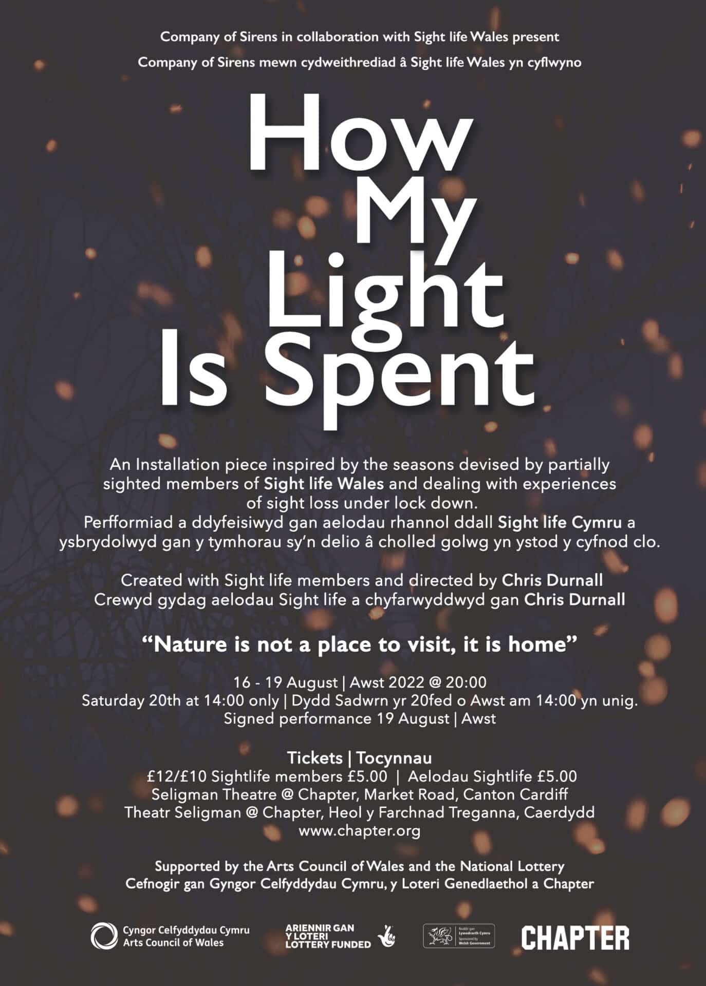 Poster for How My Light is Spent