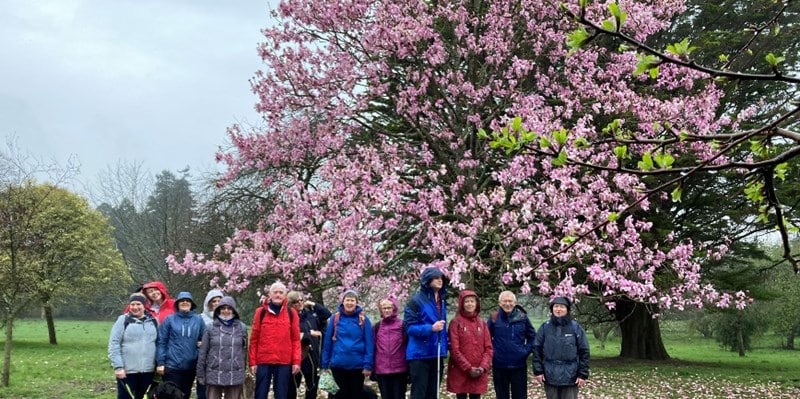 Sight Life members on a recent walk
