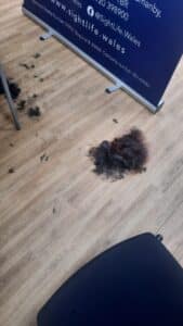 Pile of Julies hair on floor