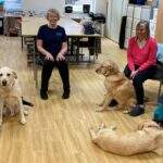 The Doga group sat with in a circle with their dogs.