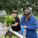 Two members of the gardening group working at a raised bed full of lettuces