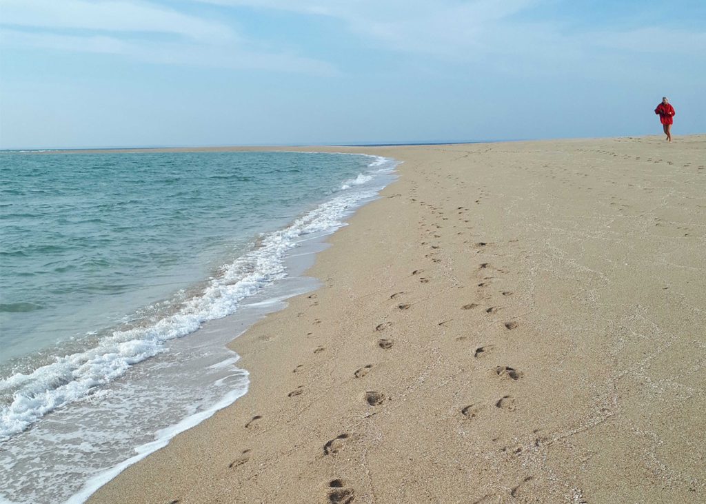 Senedd Photography Exhibition image: A landscape image looking along a sandy beach with footprints in the sand and the water lapping the shore from the left with blue skies above. On the horizon in on the far right of the image there's a young lady, running onto the beach wearing a red jacket.