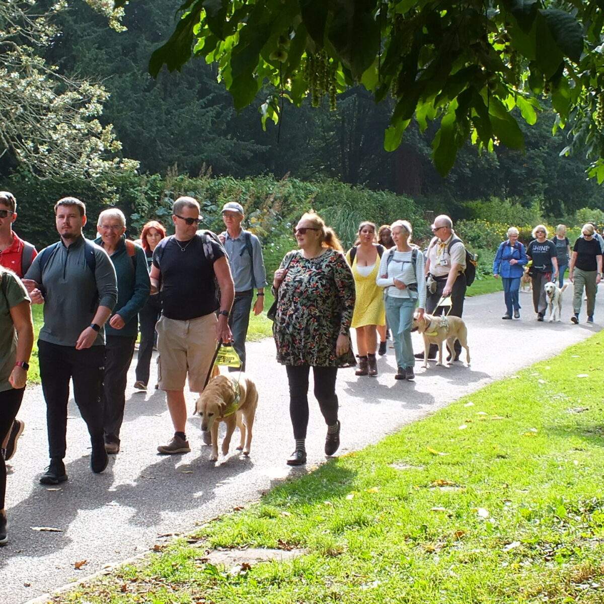 Sight Life Fundraising Event 10 mile walk - along the Taff Trail
